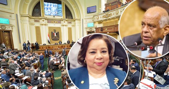 "هجرس": نعيد صياغة المواد المؤجلة بقانون المعاقين اليوم دون المساس بحقوقهم