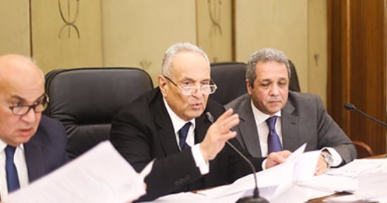 دفاع ريهام سعيد: المحكمة استمعت لمكالمات الهاتف وتأكدت من براءتها
