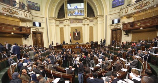البرلمان يوافق على المادة الخاصة بإصدار بطاقة خدمات متكاملة لذوى الإعاقة