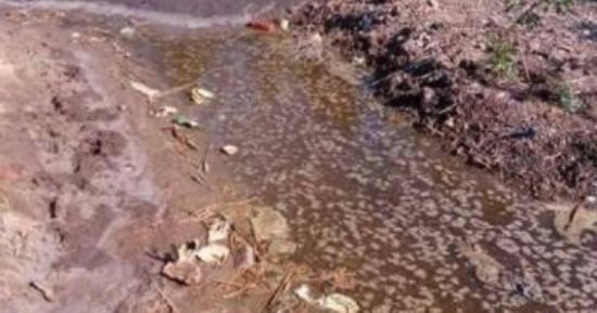 صور.. القمامة والمياه الجوفية تحاصر مقابر قرية السعادة بكفر الشيخ