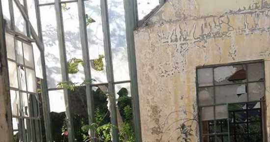 صور..  الإهمال يضرب حديقة أنطونيادس الإثرية بمحافظة الإسكندرية