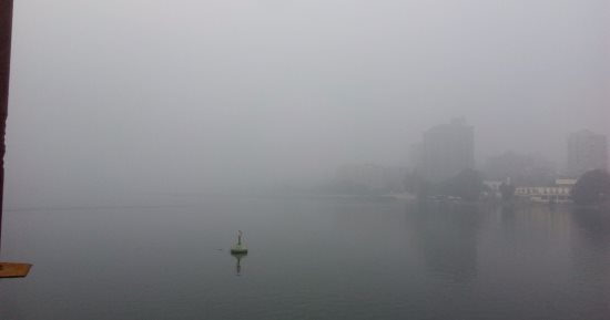 صور.. شبورة مائية تغطى سماء مدينة زفتى بالغربية