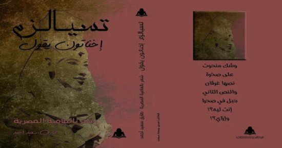 مصطفى الضبع يكتب: المجال الحيوى للقصيدة فى "تسيالزم"
