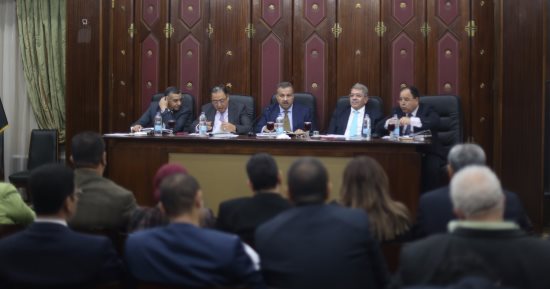 جدل بـ"صحة البرلمان" حول تبعية المجلس الأعلى لتنظيم البحوث الطبية