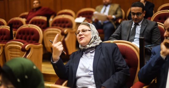 صور.. مشادة بين نواب القليوبية ونائبة بسبب "محطة معالجة صرف" فى حضور وزير البيئة