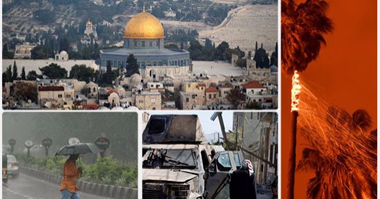 العالم هذا المساء.. صور.. ترامب يعلن قراره بشأن نقل السفارة الأمريكية إلى القدس غدا.. حرائق تلتهم الأخضر واليابس فى ولاية كاليفورنيا.. مجلس الأمن يدعو جميع الأطراف باليمن للحوار .. وأمطار غزيرة تضرب الهند