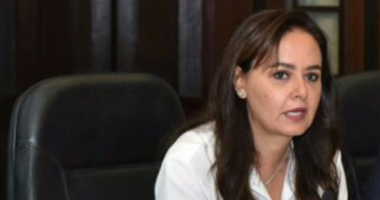 الكوميسا: 7.9 مليار دولار استثمارات مصرية فى إفريقيا موزعة على 62 مشروعا