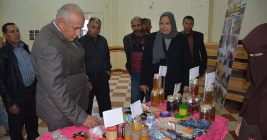 محافظ الوادى الجديد يقوم بجولة تفقدية لعدد من المشروعات الخدمية ببلاط