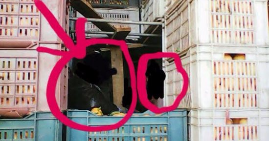 جمارك البريد بمطار القاهرة تضبط 3 محاولات لتهريب مواد مخدرة قادمة من الخارج