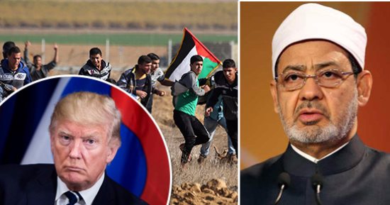 هيئة كبار العلماء: تشكيل لجنة لصياغة مقرر عن القضية الفلسطينية يدرس بالأزهر