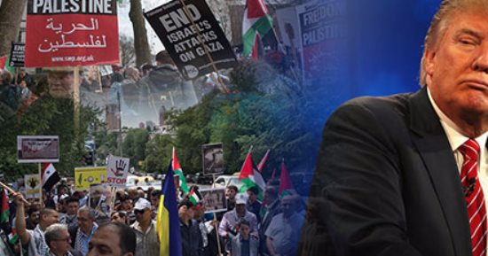 جامعة عين شمس: قرار ترامب يدفع إلى تراجع السلام فى فلسطين
