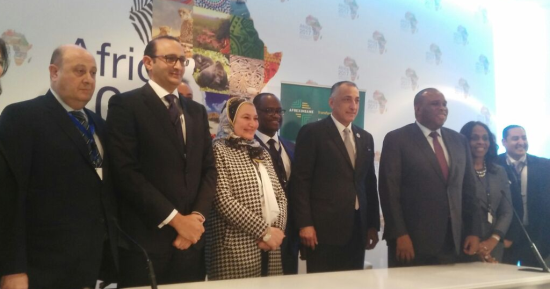 رئيس البنك الأفريقى للتصدير والاستيراد: نريد مساعدة مصر لتطوير الصناعة