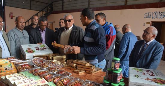 محافظ الوادى الجديد يتفقد عدد من المشروعات الخدمية بمركز بلاط – صور