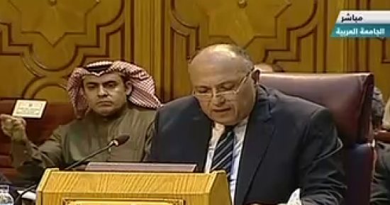 فيديو.. سامح شكرى: المجتمع الدولى عاجز عن إنقاذ الشرعية فى قضية عمرها 70 عاماً
