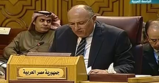 سامح شكرى يلتقى مفوض الاتحاد الأوروبى للهجرة السبت المقبل