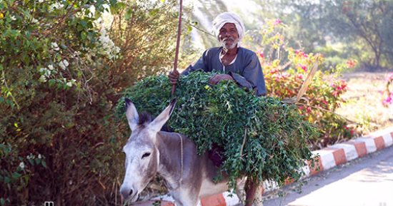 صورة اليوم.. يا اللى معاك المال برده الفقير له رب كريم