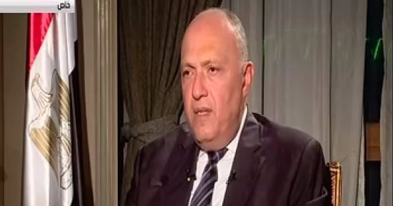 سامح شكرى: يجب دعم مصر لوجيستيا وسياسيا فى مواجهة الإرهاب