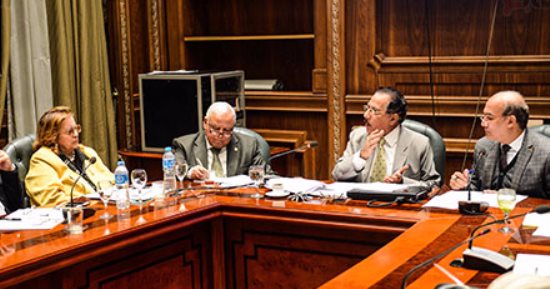 أستاذ علاقات دولية يحذر من تعاون "بوكو حرام" مع "داعش" ضد مصر