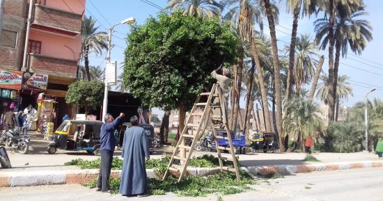 رفع مخلفات وتراكمات وتركيب لمبات وإصلاح كشافات بمدينة جهينة