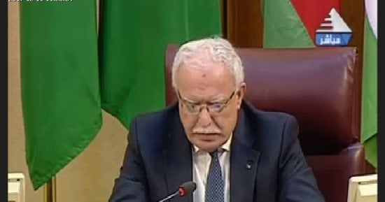 وزير خارجية فلسطين: الاحتلال الإسرائيلى ارتكب مجزرة للشباب العزل بدم بارد