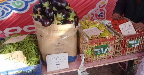 صور .. حملة شباب ضد الغلاء تنظم مبادرة لبيع السلع بأسعار مخفضة بالإسماعيلية