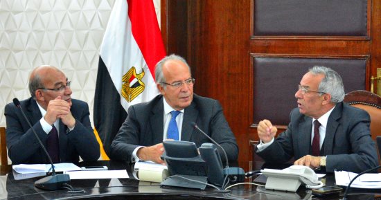 وزير التنمية المحلية يجتمع مع وزير الزراعة لإعداد خطة لتنمية بئر العبد