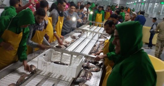 صور.. طلاب كفر الشيخ يزورون مزرعة الأسماك فى غليون 