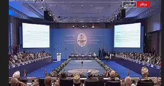 التعاون الإسلامى تدين الهجوم الإرهابى فى مالى