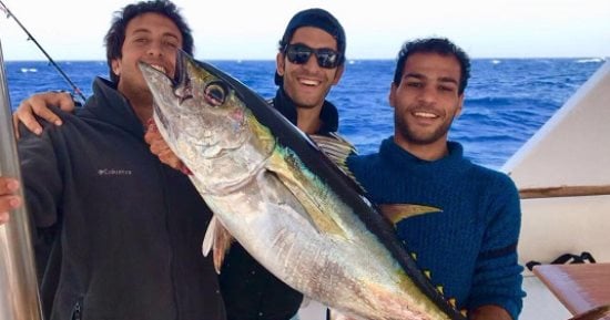 تعرف على مواصفات أول سمكة تم اصطيادها ببطولة كأس مصر لصيد الأسماك بالغردقة