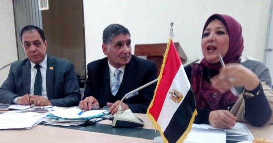 مصنعو الأدوية يناقشون أزمة ارتفاع أسعار الدواء بحضور نواب الإسكندرية 