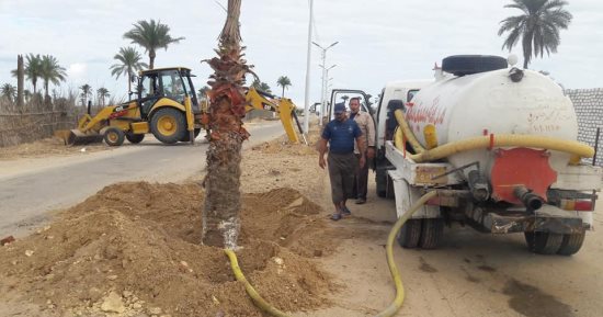 صور.. زراعة مدخل بلطيم بالنخيل وتوسعة الطرق وإقامة مشايات لذوى الاحتياجات