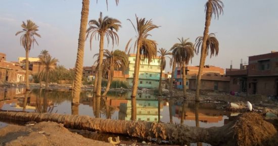 صور.. المياه تغرق شوارع قرية كفر الضبعى بمحافظة الجيزة..وقارئ :لا نعرف السبب