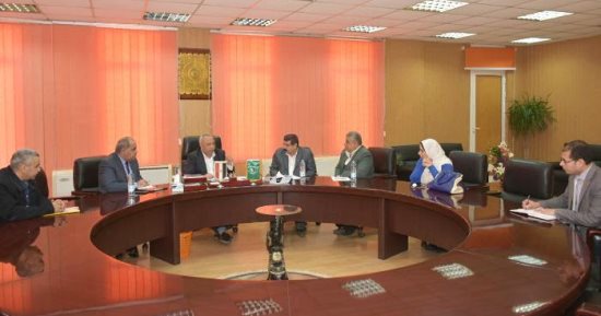 محافظ الشرقية يبحث تعديل خطوط الكهرباء الهوائية إلى أرضية