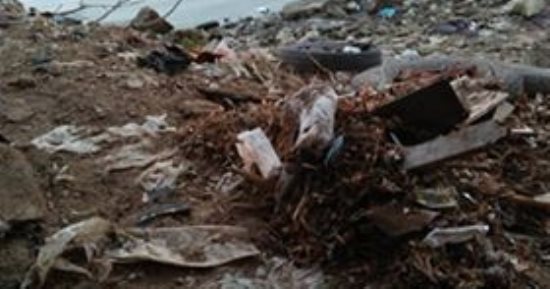 قارئ يشكو إلقاء المخلفات بنهر النيل فرع دمياط ويطالب بمعاقبة المخالفين