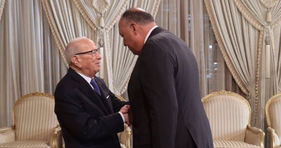 وزير الخارجية يبحث مع الرئيس التونسى جهود مصر لدعم المسار السياسى فى ليبيا