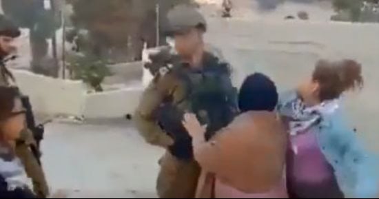 فلسطينية بـ100رجل.. عهد التميمى تصفع ضابطا وجنديا إسرائيليا على وجهيهما