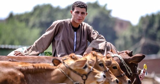 صورة اليوم .. لو ضحكة من قلبنا هتفيض وهتكفى