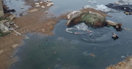 تراكم القمامة وطفح مجارى أسفل دائرى شارع عشرة بالوراق