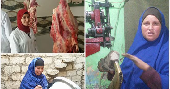 فى عام المرأة.. "الأيدى الناعمة" تلفت الأنظار ببنى سويف.. 3 طبيبات يعملن بالجزارة ومنال مقاول أنفار وسائق نقل.. الأسطى حنان تخصص تصليح أحذية.. وتهانى "أجدع" تاجر موبيليا.. ونائب مدينة الواسطى امرأة حديدية.. صور