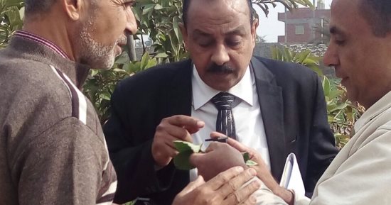 صور.. الحكومة تبدأ تطبيق أول منظومة للمكافحة الحيوية فى المحاصيل التصديرية