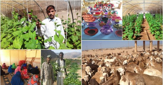 صور.. الزراعة تواصل تنمية "حلايب وشلاتين".. حزمة مشروعات بـ"وادى حوضين".. تجهيز 68 صوبة وتركيب 15 مظلة انتظار.. إنشاء مزرعة سمكية ومحطة طاقة شمسية .. والمورينجا للتسميد والعلف الحيوانى