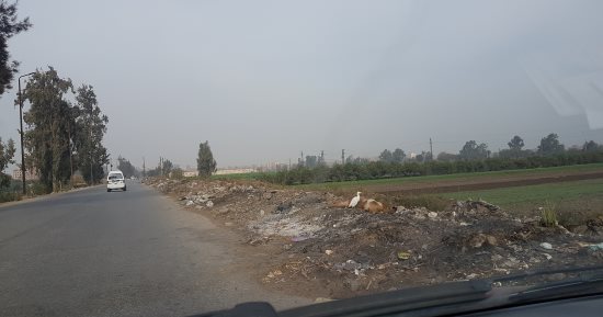 صور.. اضبط مخالفة "عزبة البرنس" فى بنها تتحول إلى"مقلب قمامه"