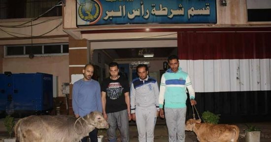 ضبط قتلة خفير مزرعة مواشى برأس البر