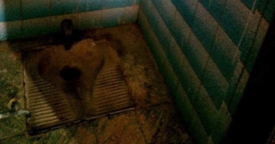  صور .."اضبط مخالفة" الإهمال يضرب مدارس زفتى الخاصة 