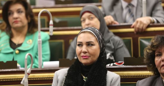 البرلمان يوافق على إنشاء شركات الشخص الواحد بتعديلات قانون الشركات المساهمة