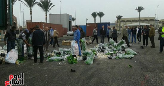 جمارك دمياط تحبط محاولة تهريب 240 كيلو تبغ  إلى فلسطين  