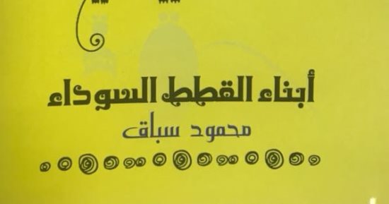 "أبناء القطط السوداء" ديوان جديد لـ محمود سباق عن قصور الثقافة