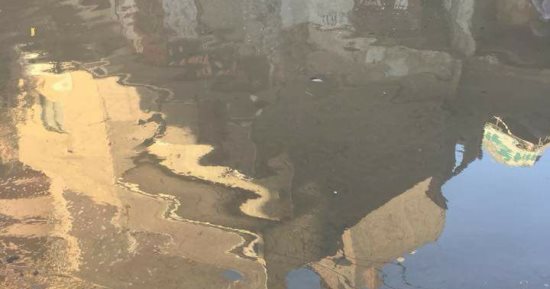 صور.. مياه الصرف تغرق زواية أبو مسلم بالجيزة والأهالى يستغيثون