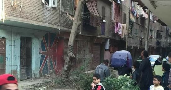 صور.. مذبحة لـ "الأشجار" بمنطقة عزبة النخل باقتلاعها بالبلدوزر وحرقها بالنيران