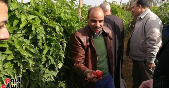 "زراعة البرلمان" تزور بنى سويف للوقوف على تقنين 60 ألف فدان (صور)